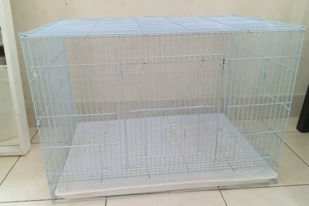 2 bird cage - 2