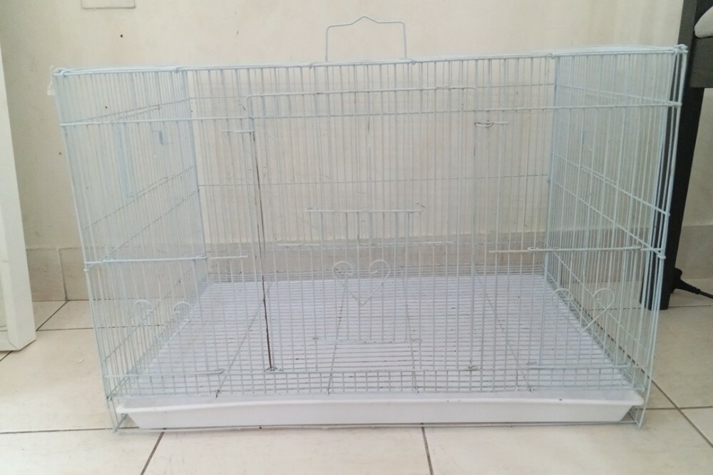 2 bird cage - 1