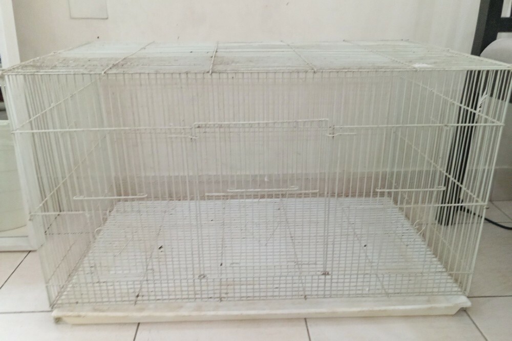 1 bird cage - 1