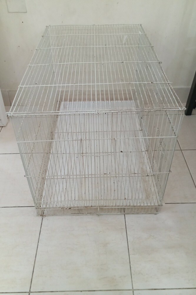 1 bird cage - 2