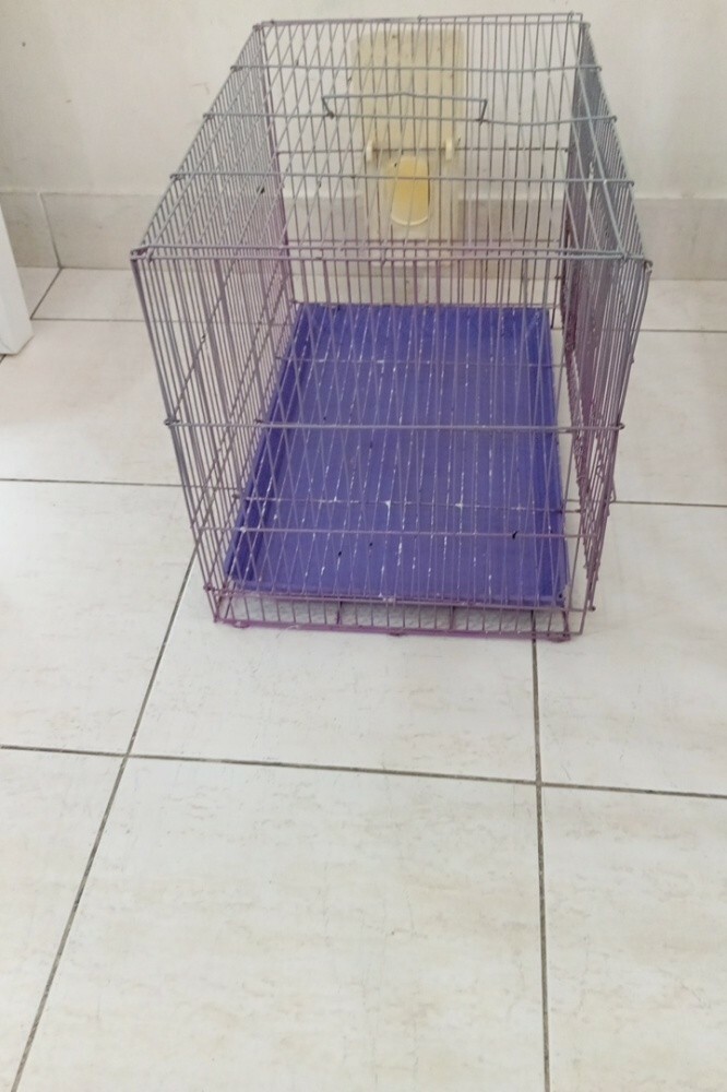 1 bird cage - 3