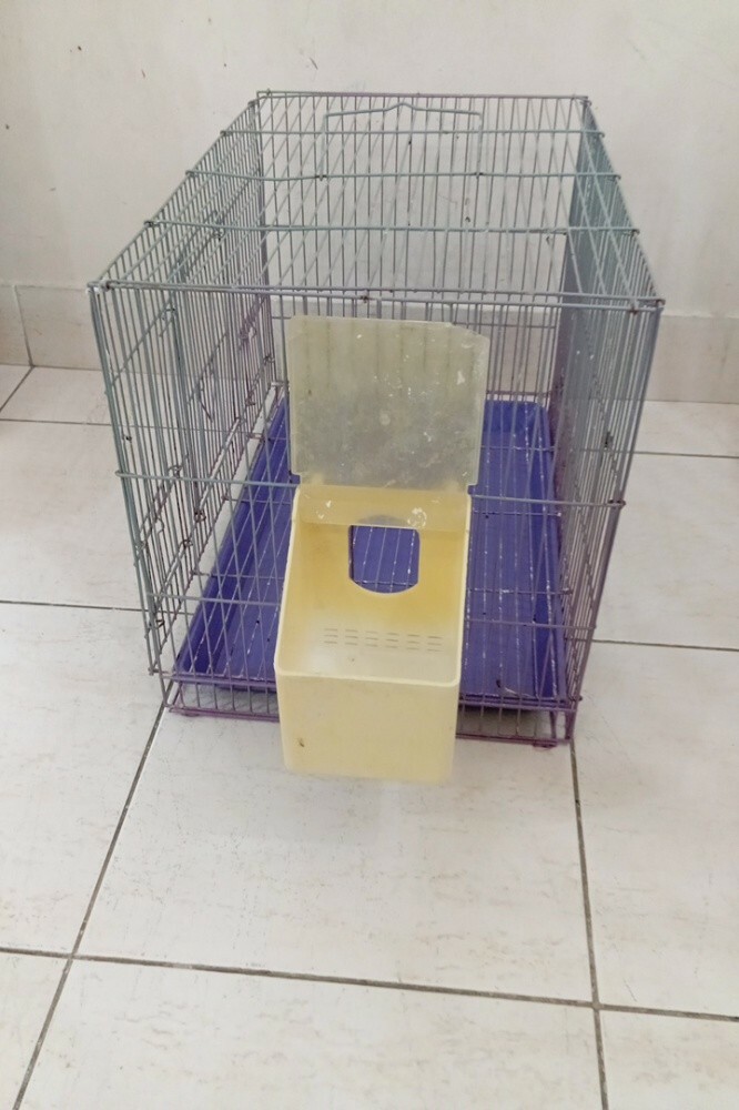 1 bird cage - 2