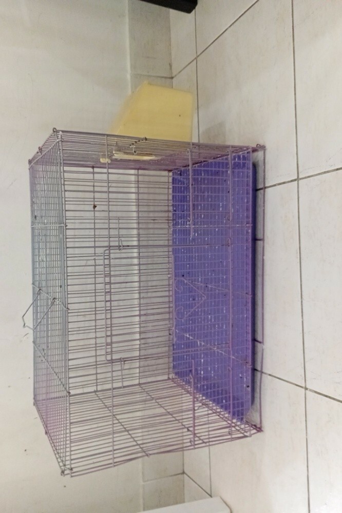 1 bird cage - 1