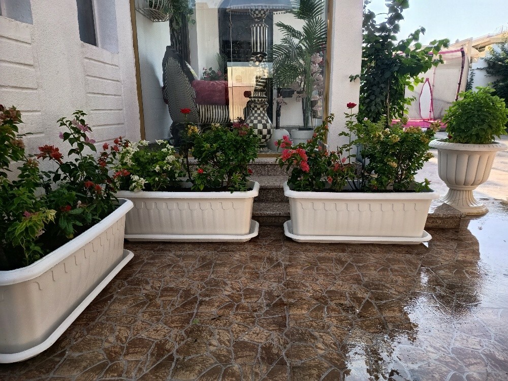 مهندس زراعي - 4