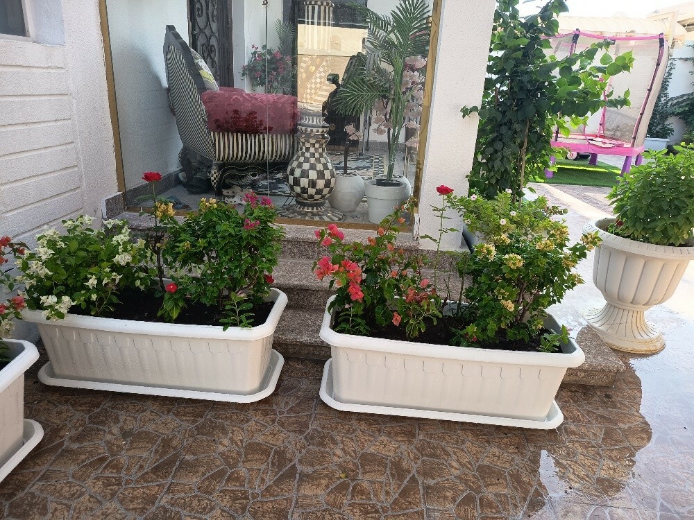 مهندس زراعي - 3