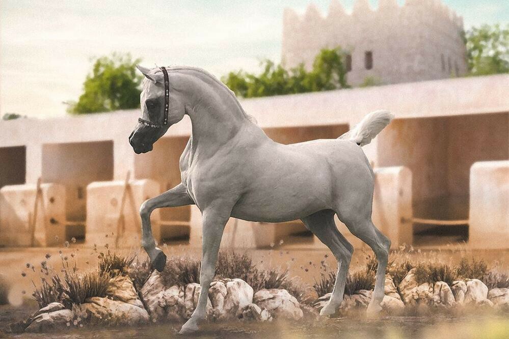 تسجيل خيل الجمال في المسابقات  - 2