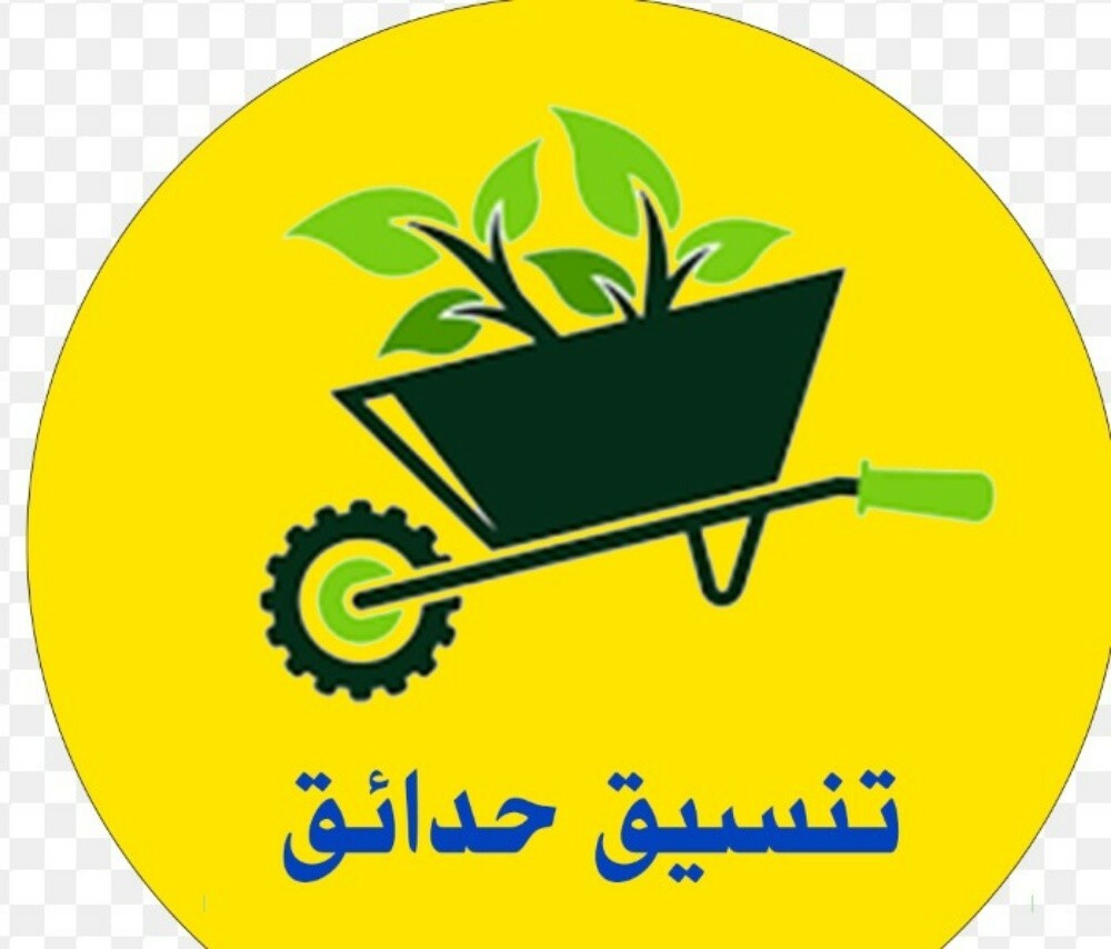 سكوتر بحر قوارب التجديف - 20