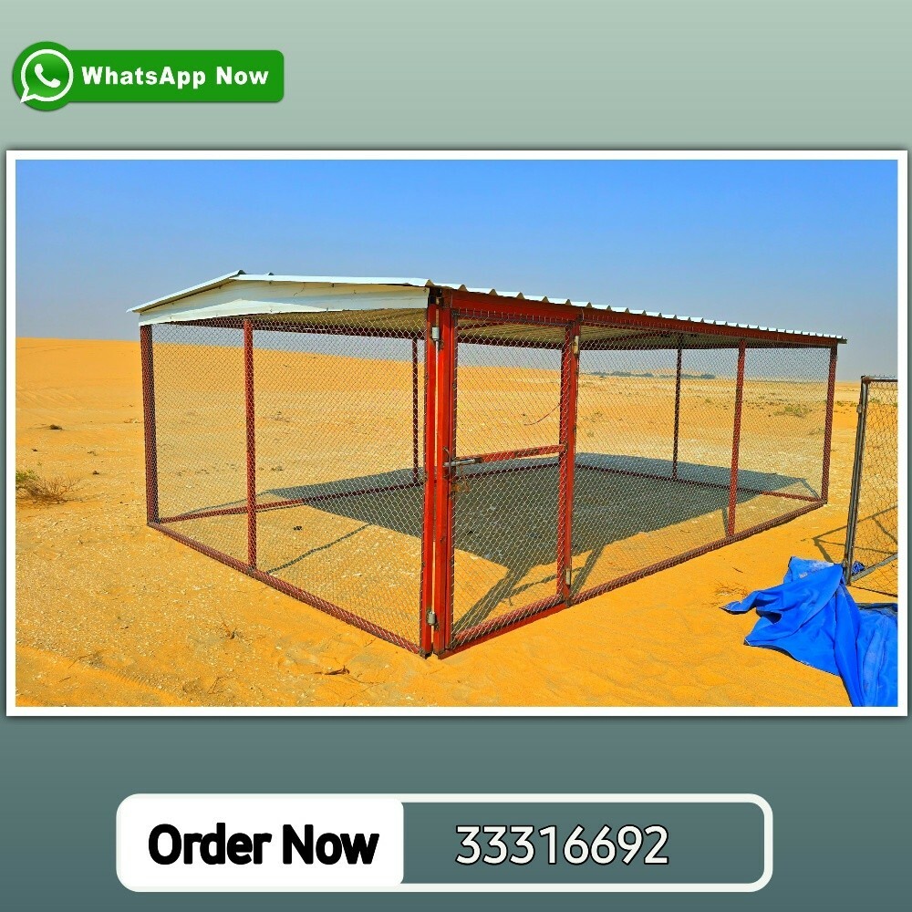 بيت الدجاج والحمام - 1