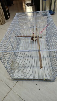 Neat & Clean bird cage for sale - 3