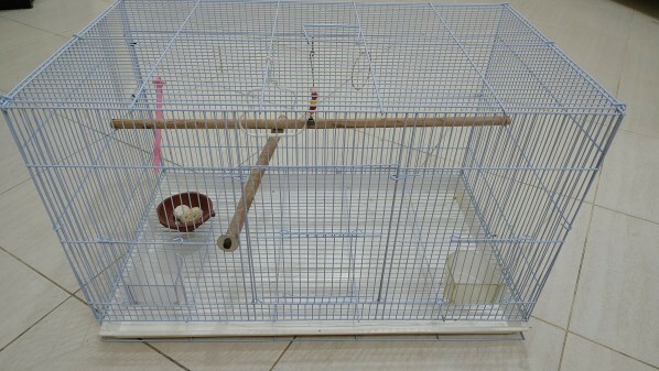 Neat & Clean bird cage for sale - 2