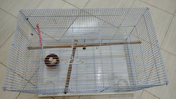 Neat & Clean bird cage for sale - 1