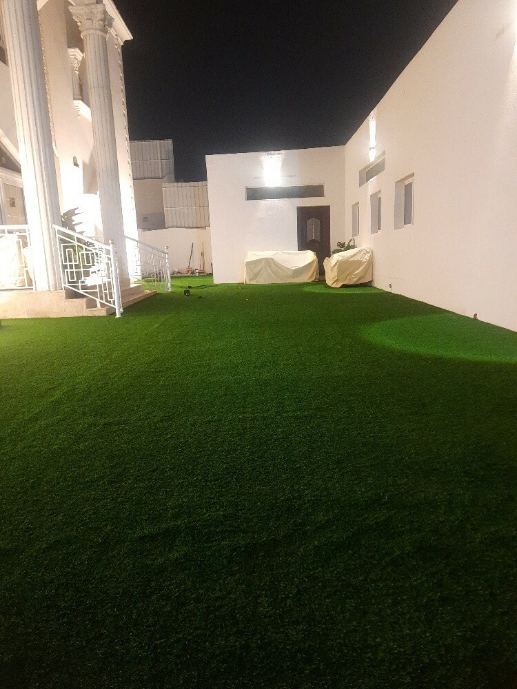 سجادة خضراء - 1
