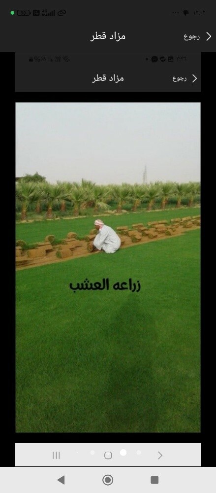 عشب طبيعي للبيع - 1