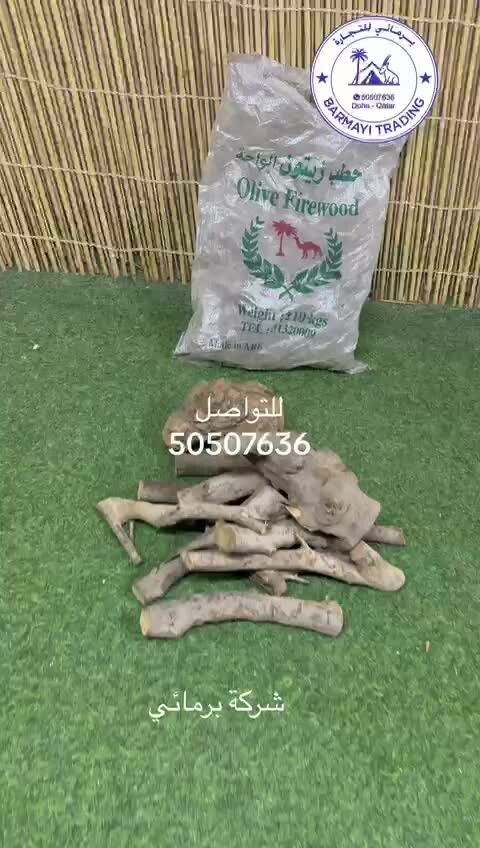 حطب زيتون و حطب مضغوط للبيع - 3