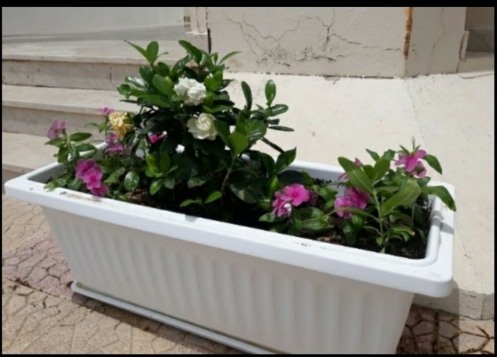 جميع أحواض الزراعه - 3