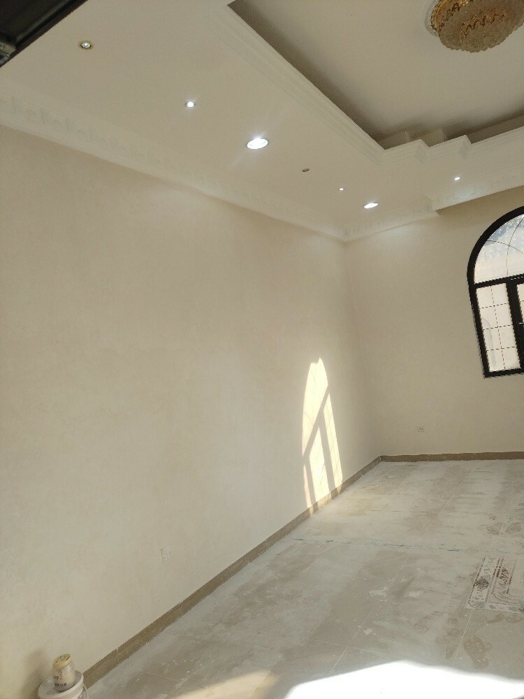 دهانات واصباغ داخليه وخارجيه - 10