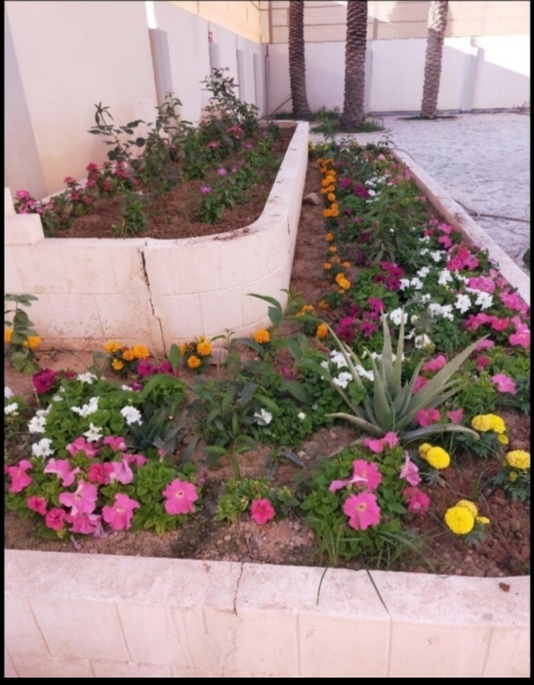 ترتيب وزراعه الأحواض - 2