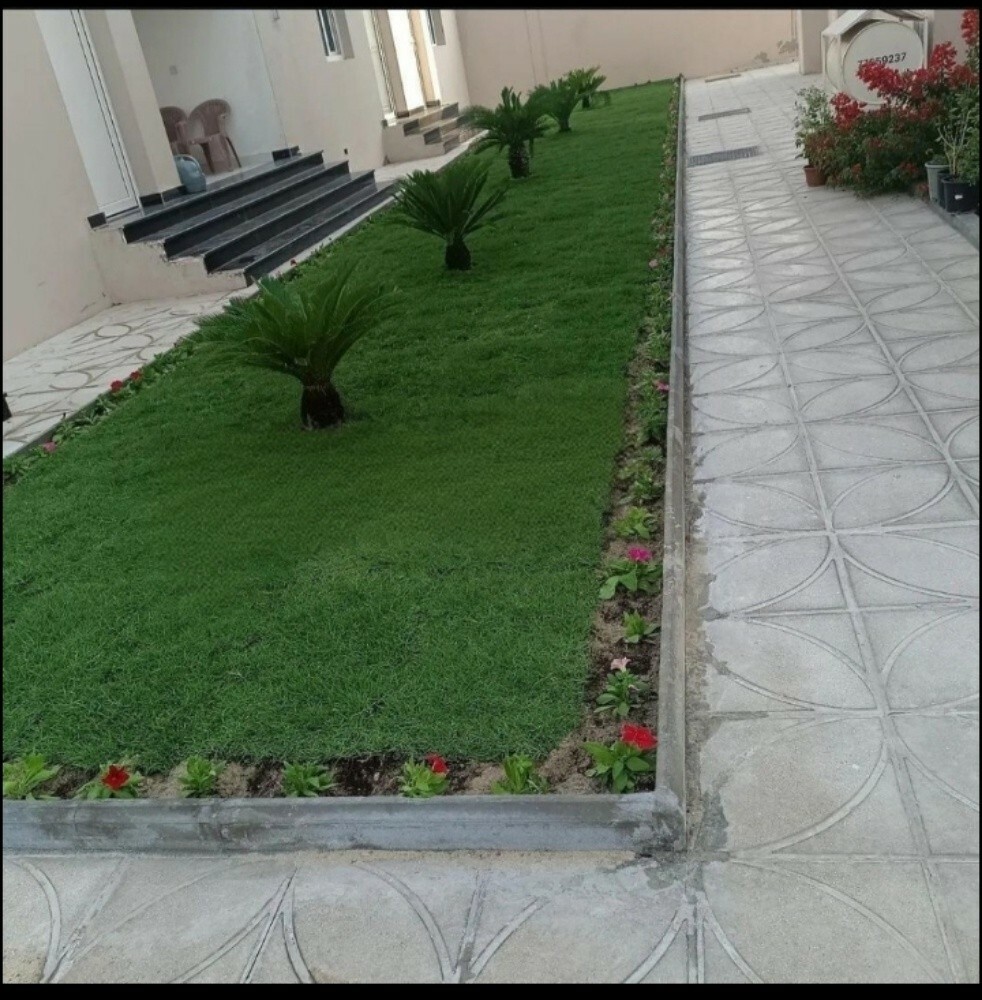زراعة العشب الأخضر الطبيعي والورو - 1