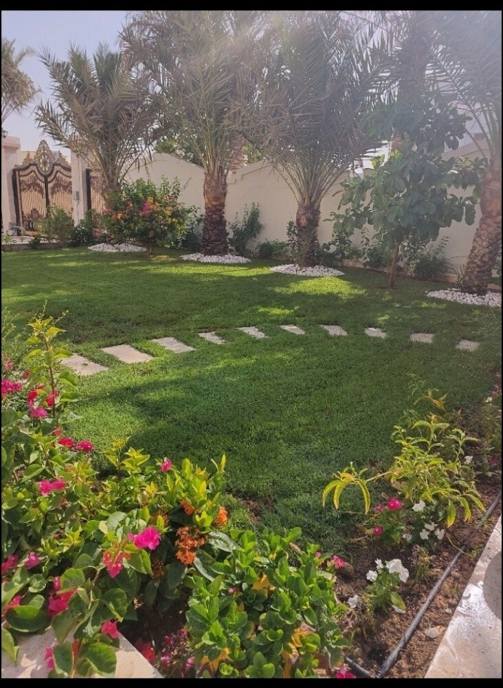 ديكو وزراعه - 2