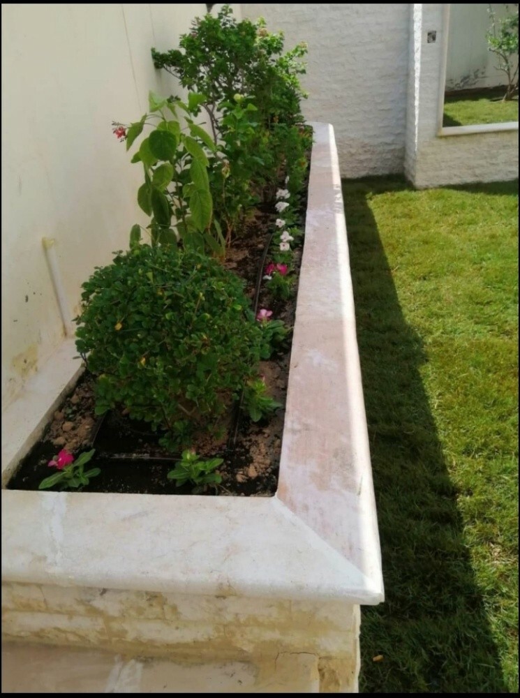 متخصصون في أعمال الزراعه والديكور - 3