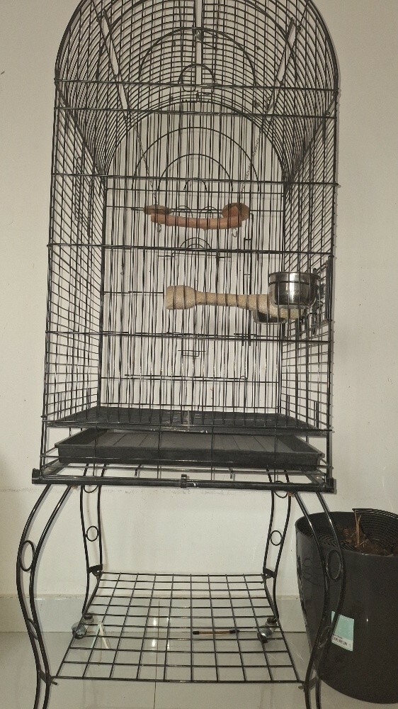 Large Premium Bird Cage - 4