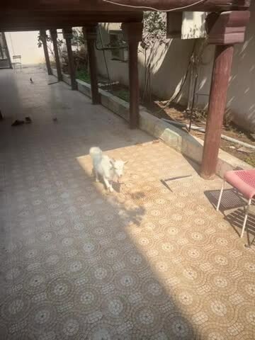 كحيلان - 1
