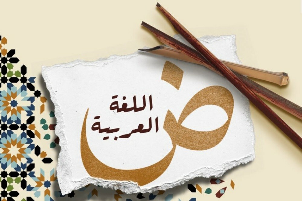 معلمة تأسيس الصفوف الاولية ومحفظة - 2