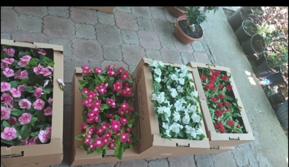 ابو خالد - 1