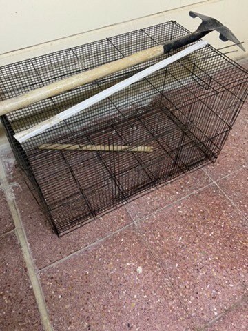 sale - 1