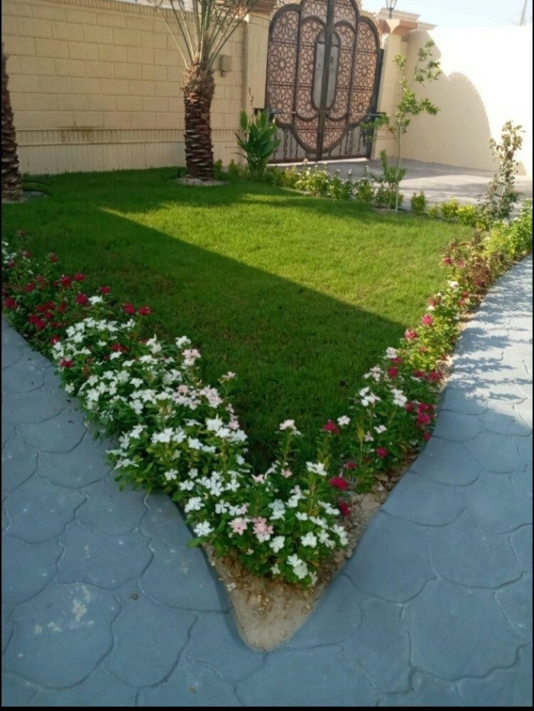 متخصصون فى تصميم وتنسيق الحدائق ا - 4