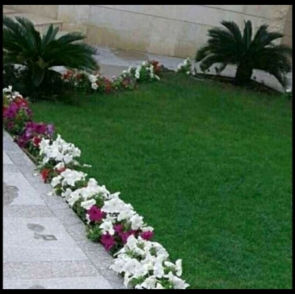 متخصصون فى تصميم وتنسيق الحدائق ا - 2