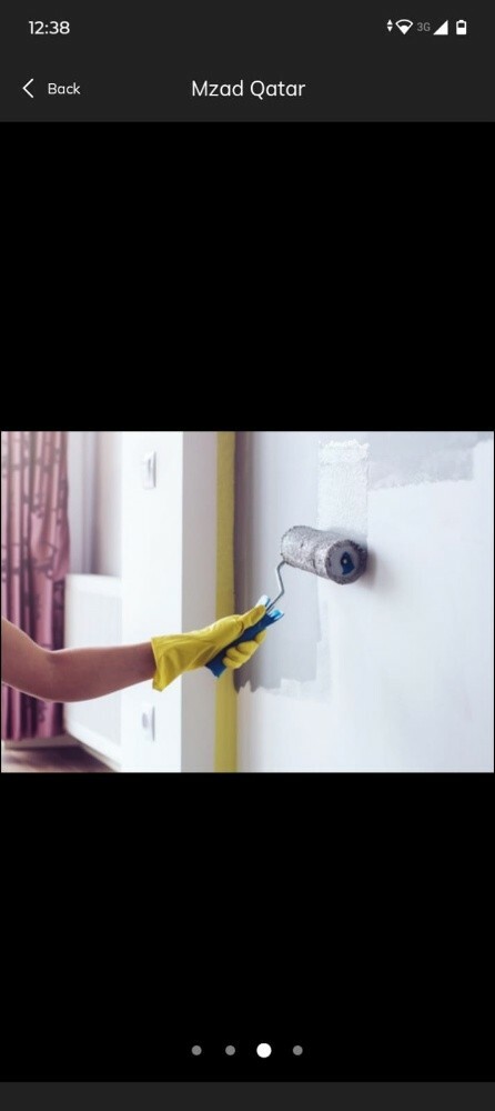 Paniting services - 6