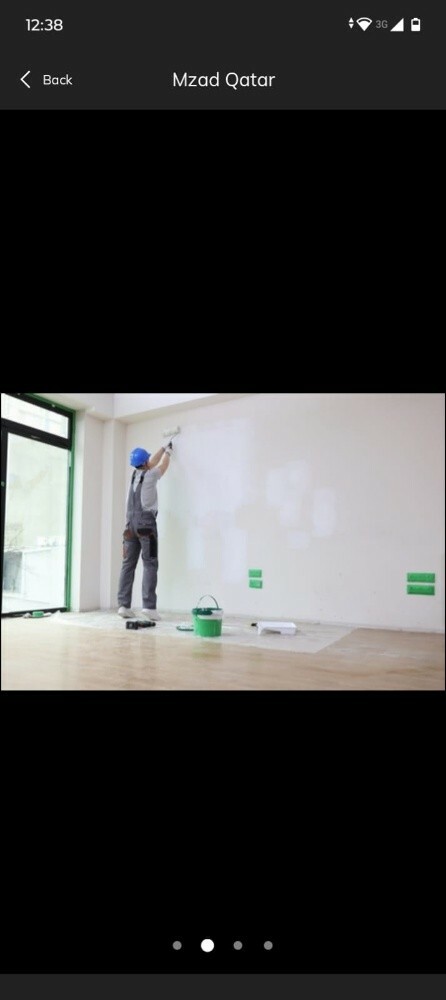 Paniting services - 5