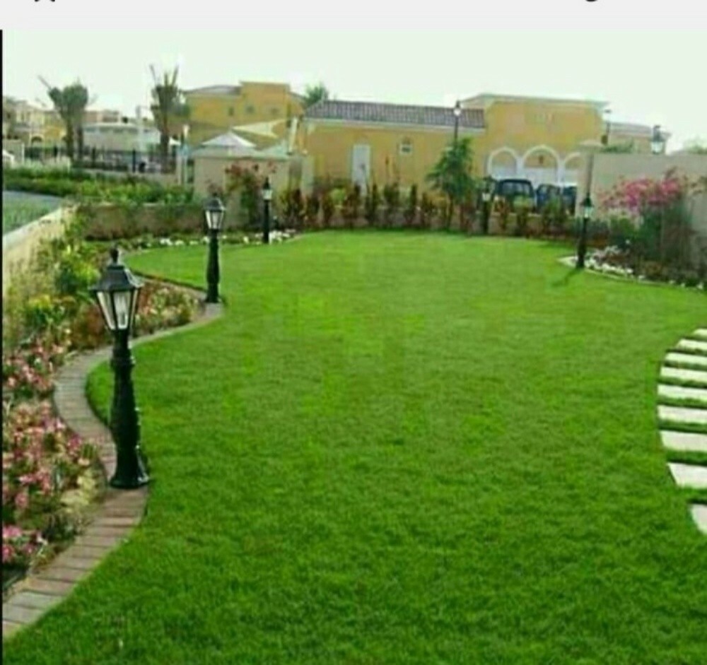 موزارع - 5