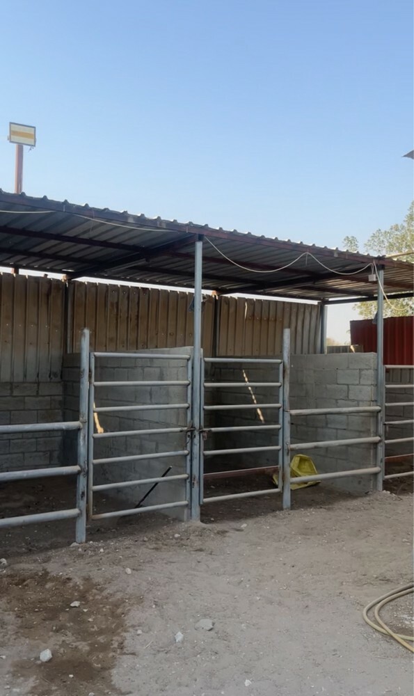 إيواء خيل - 1