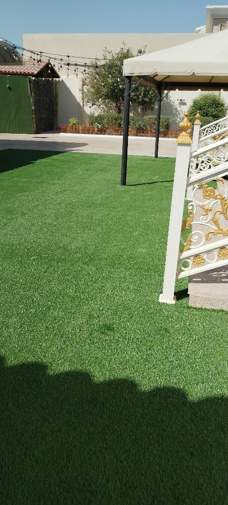 carpet - 1