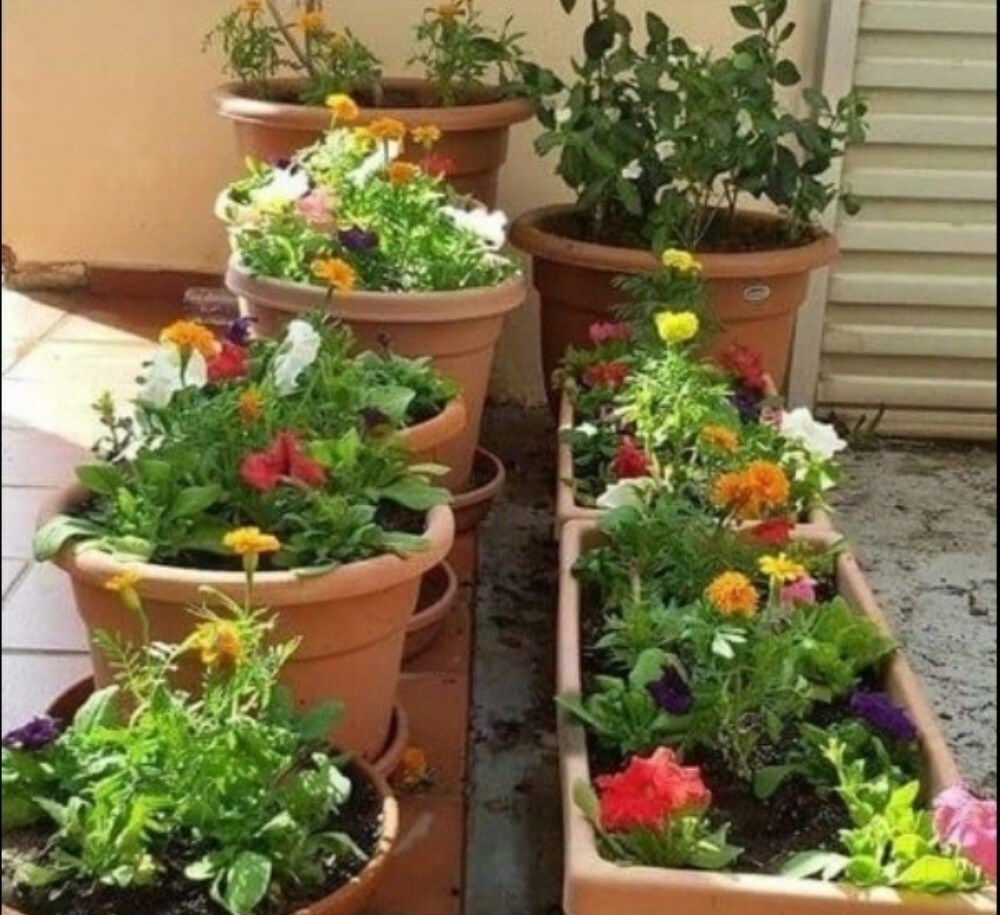 أحواض زراعه - 5