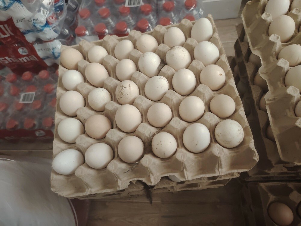Farsi Chiken egg for sale - 1