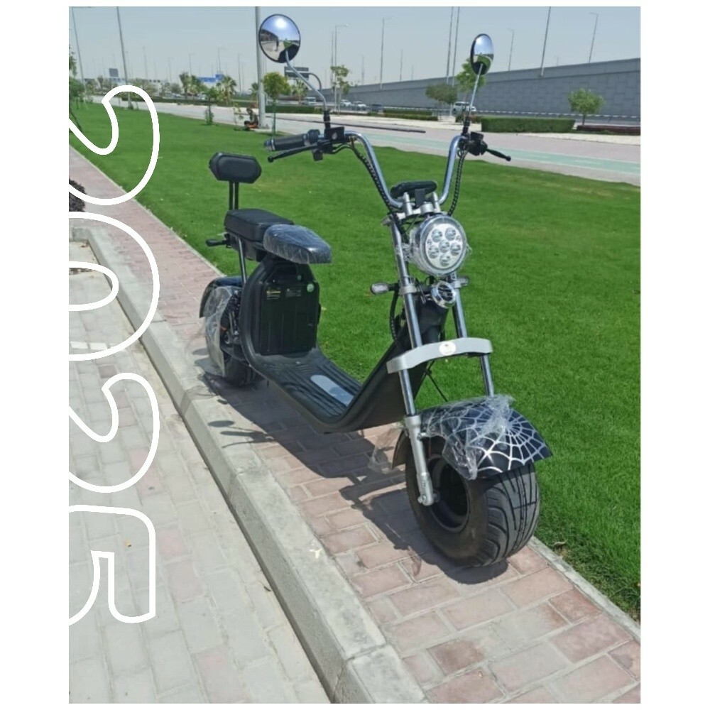 دراجة كهربائي كبير - 2
