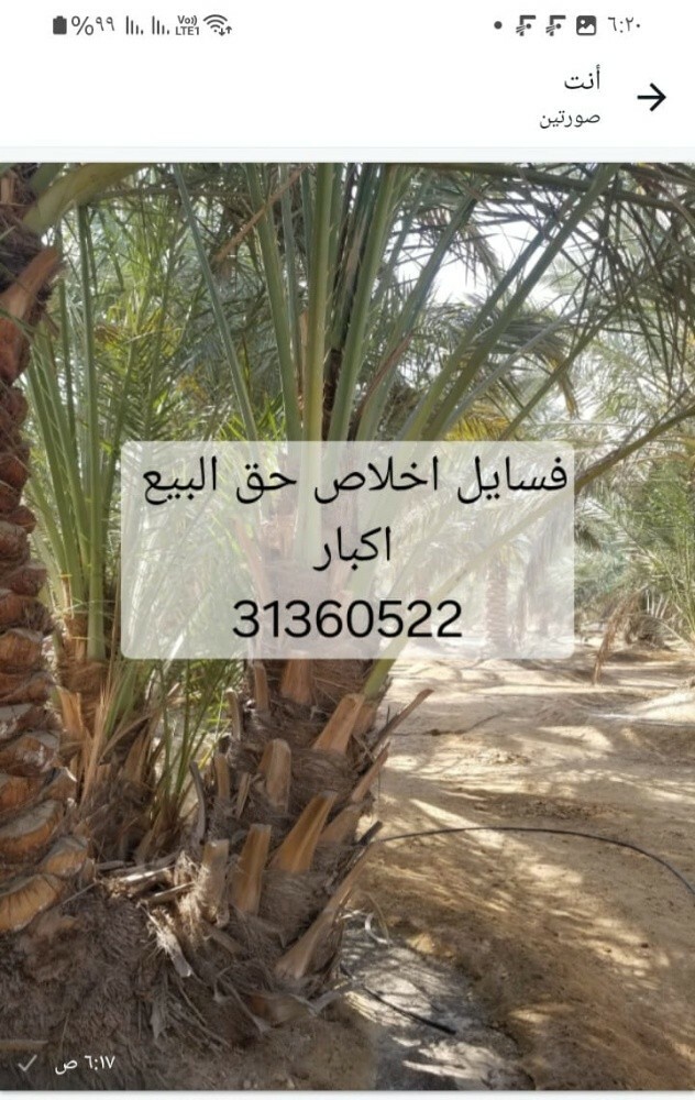 فسايل للبيع - 1
