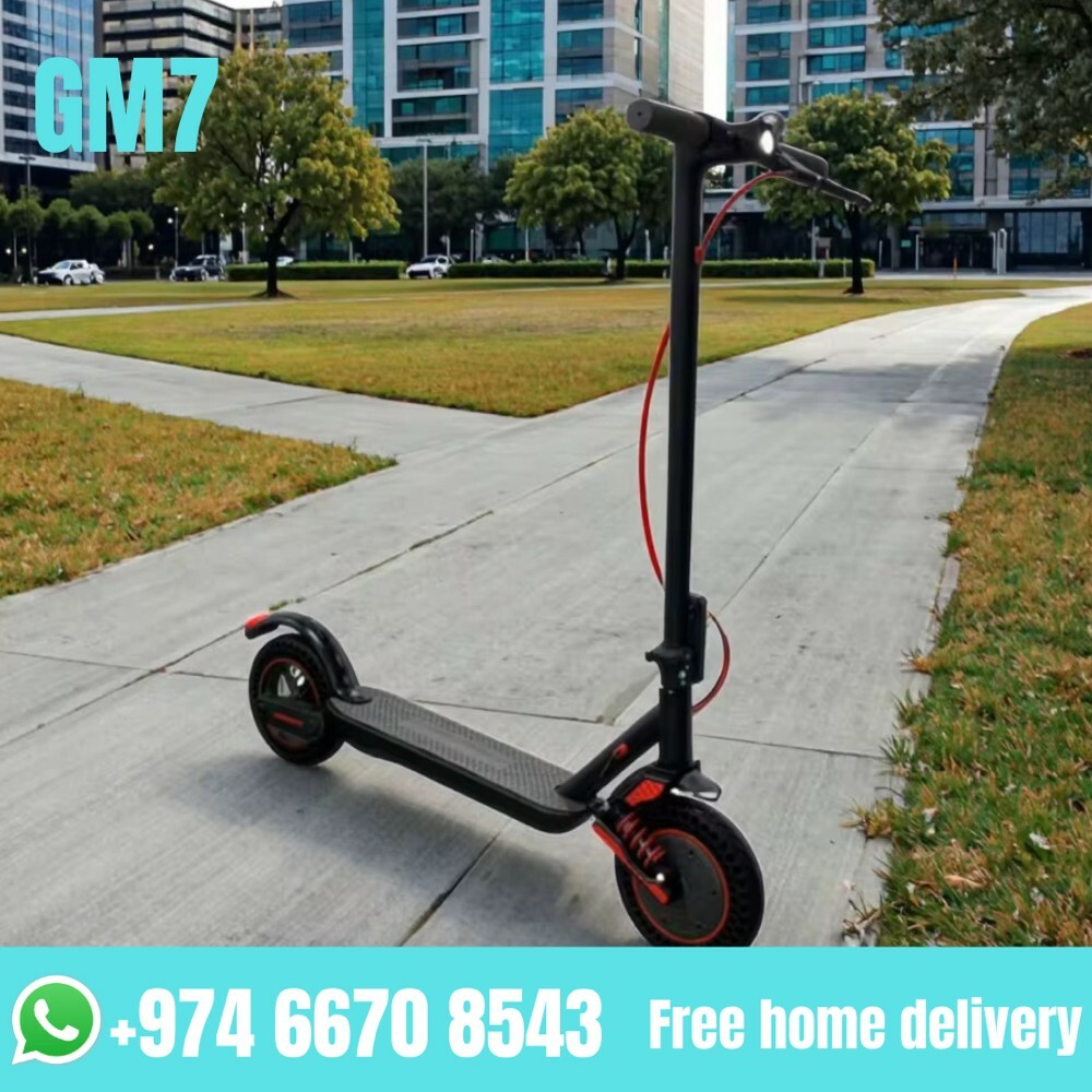 Electric Scooter - 1