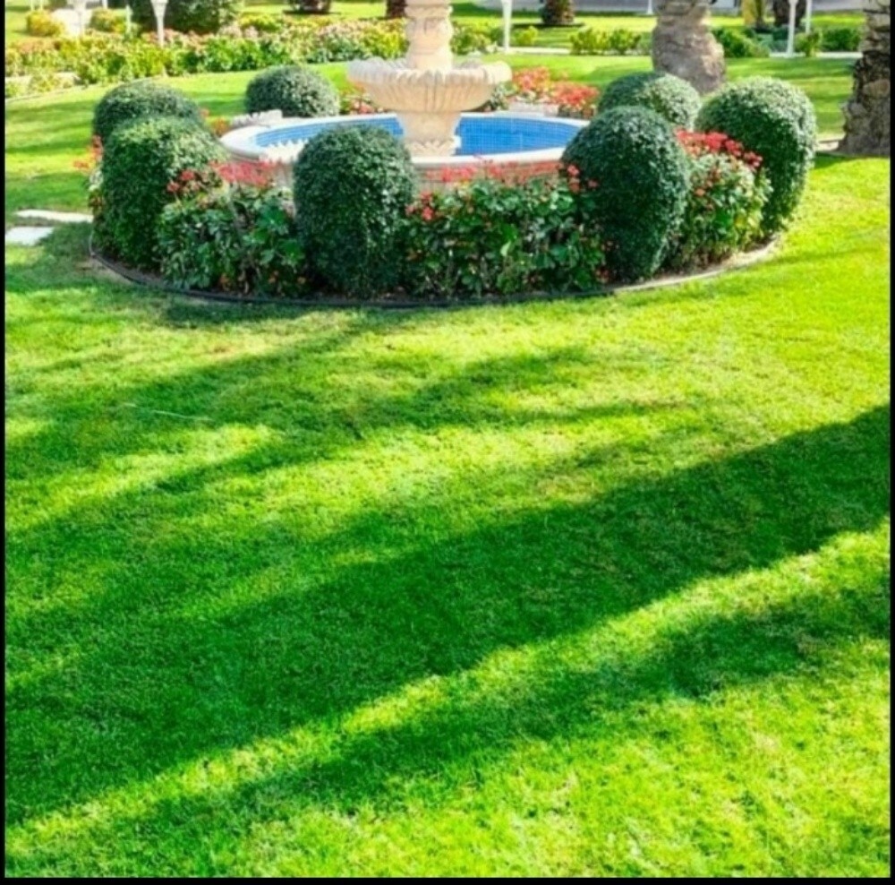 متخصصون فى تصميم وتنسيق الحدائق ا - 4