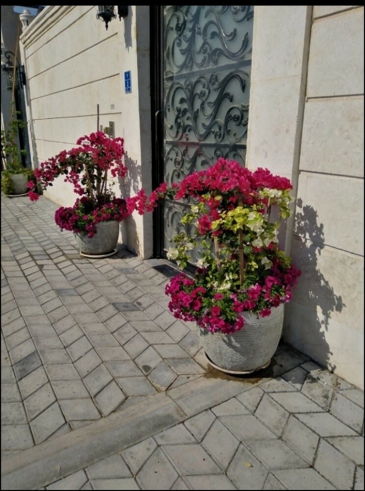 متخصصون فى تصميم وتنسيق الحدائق ا - 5