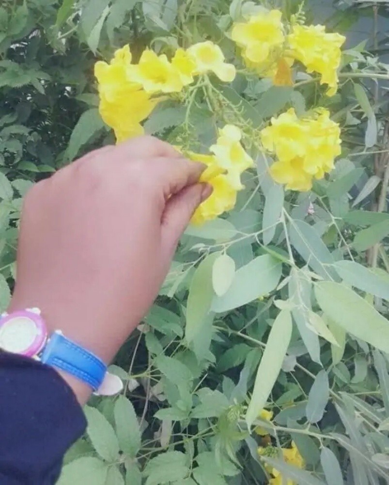 Marwa Mohammed - 10