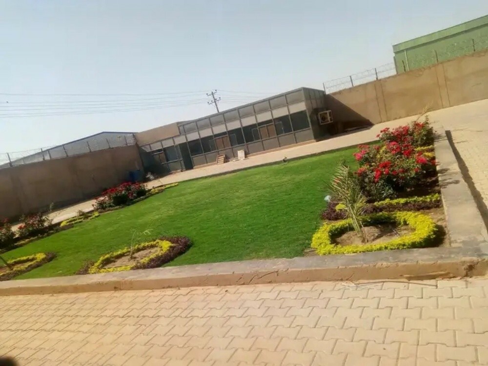 Marwa Mohammed - 2