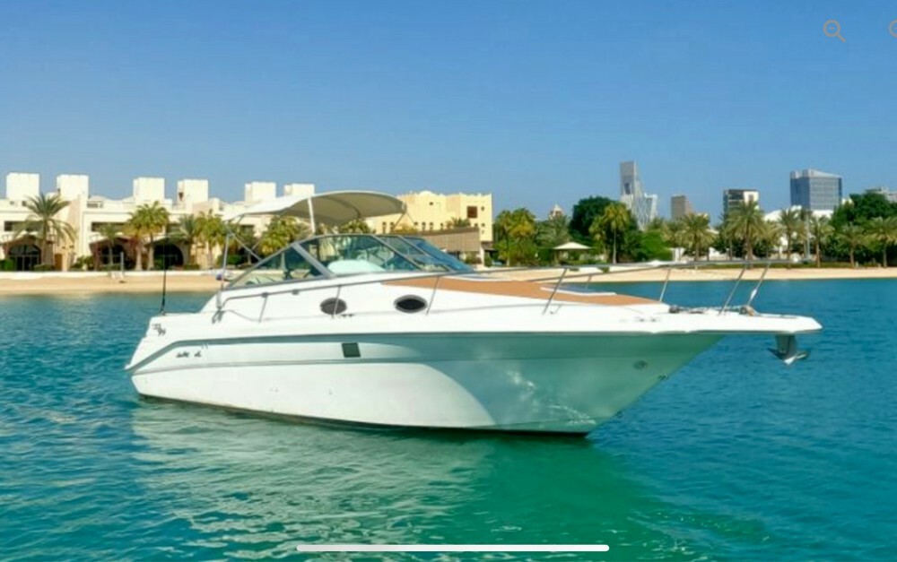 Sea Ray 270 Sundancer - 1