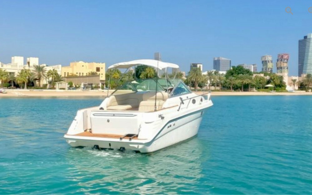 Sea Ray 270 Sundancer - 4