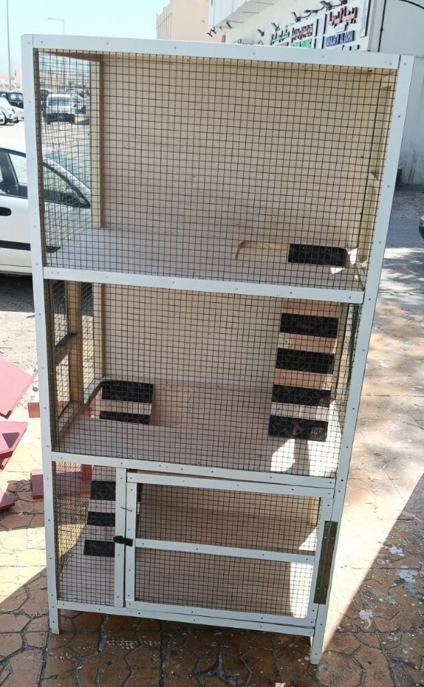 cat cages - 1
