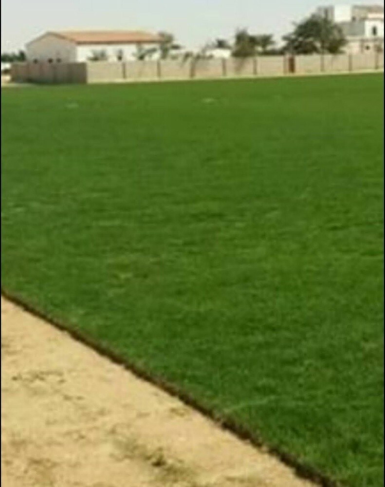 زراعة حدائق - 2