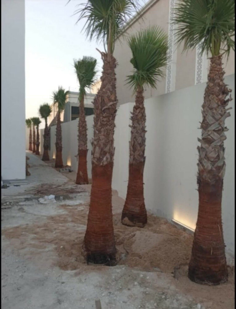 العنايه بالحديق - 3